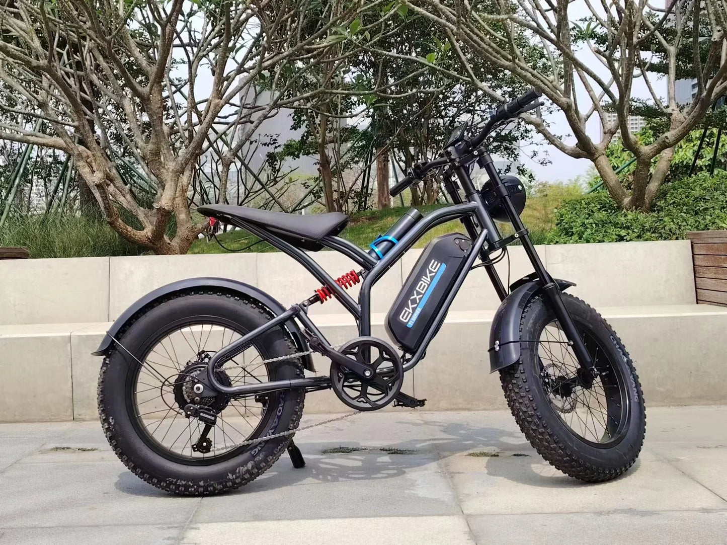 Mountain E-Bike