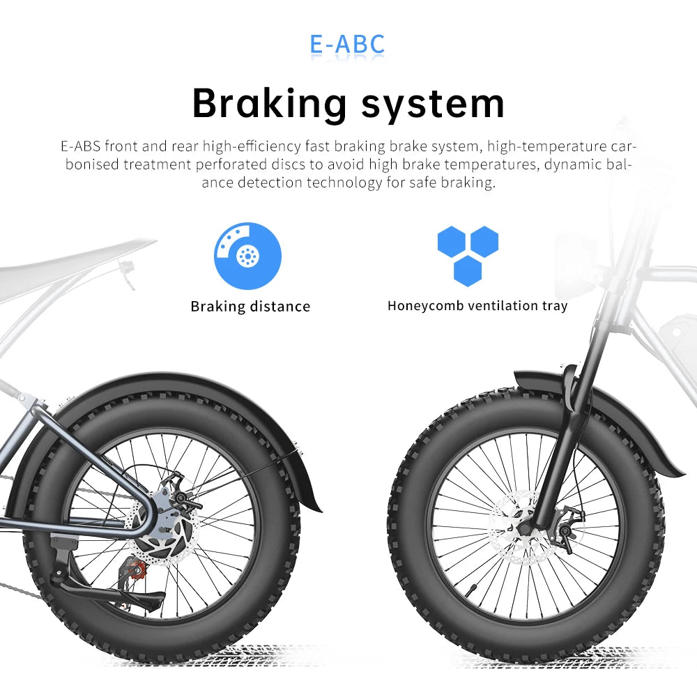 Mountain E-Bike