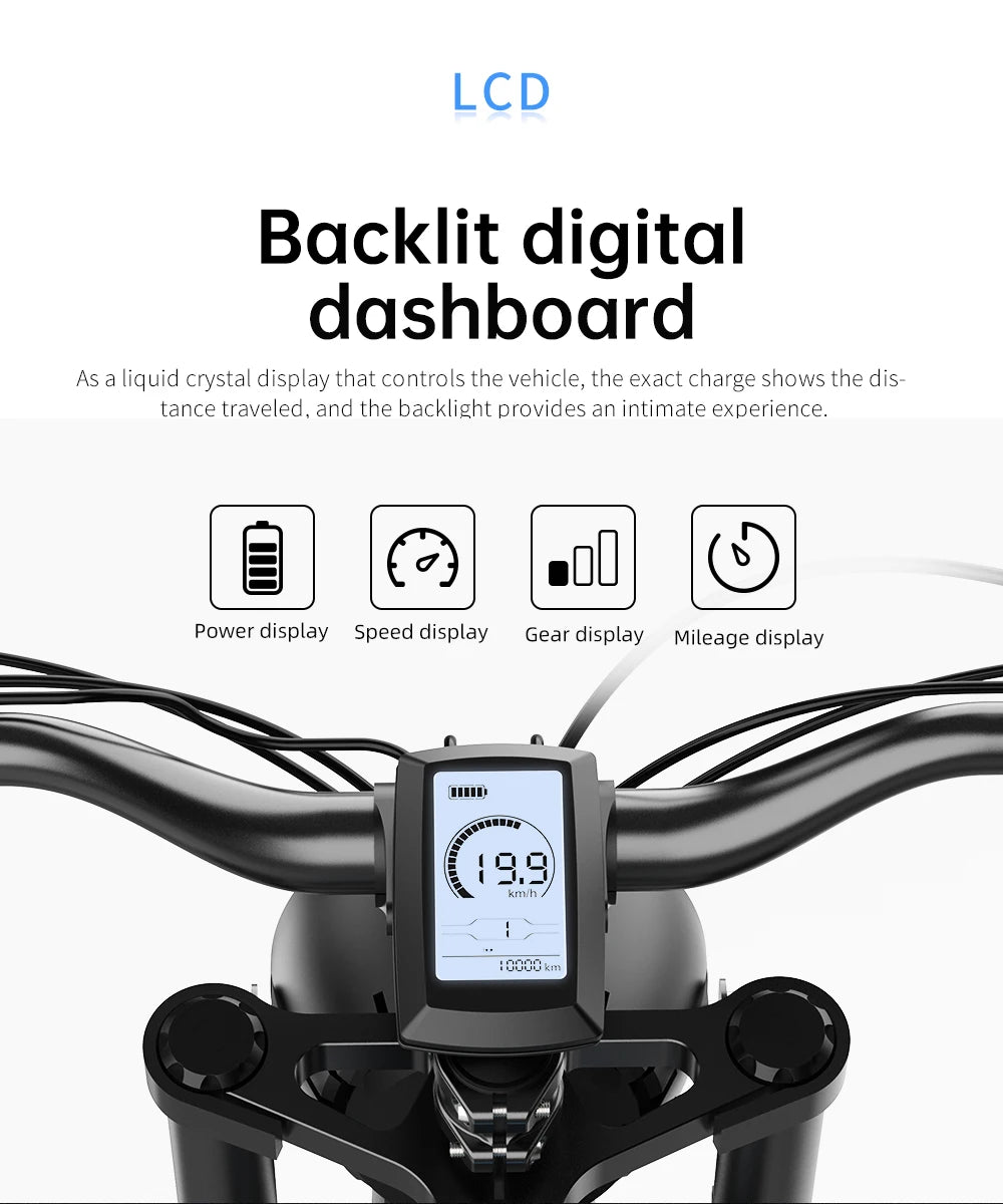 Mountain E-Bike