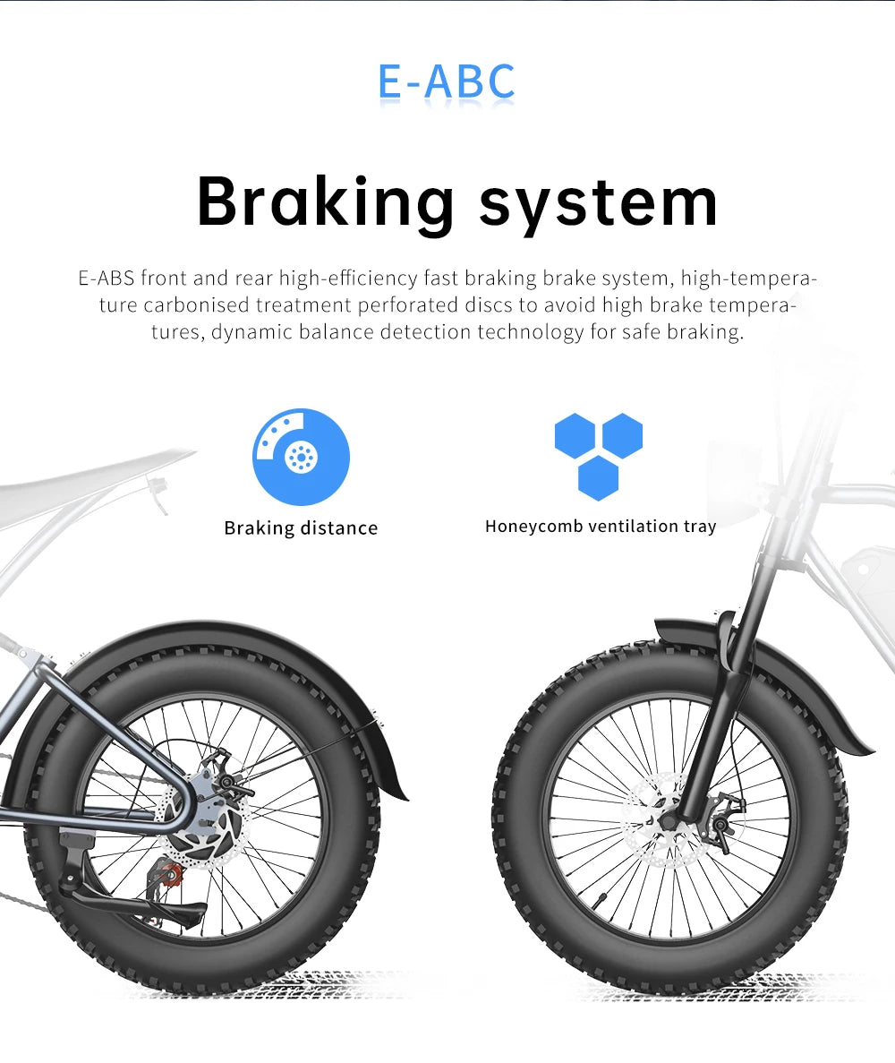 Mountain E-Bike