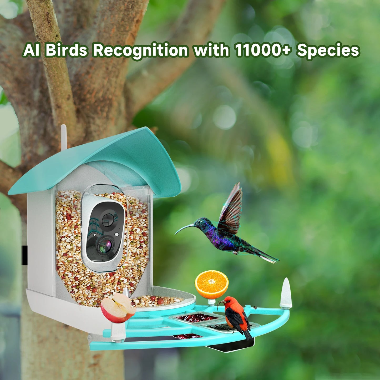 Smart Bird Feeder Camera