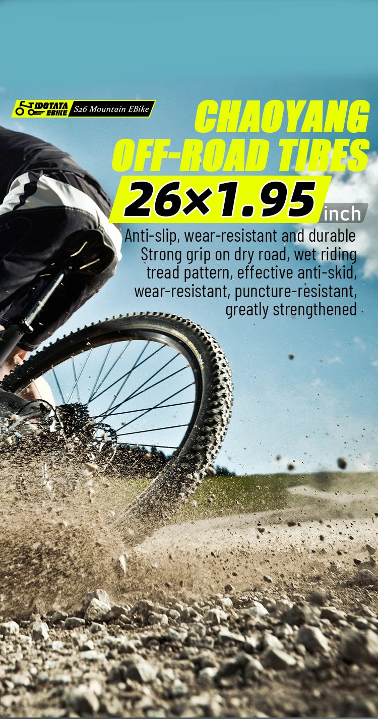 Electric Bicycle 21 speed
