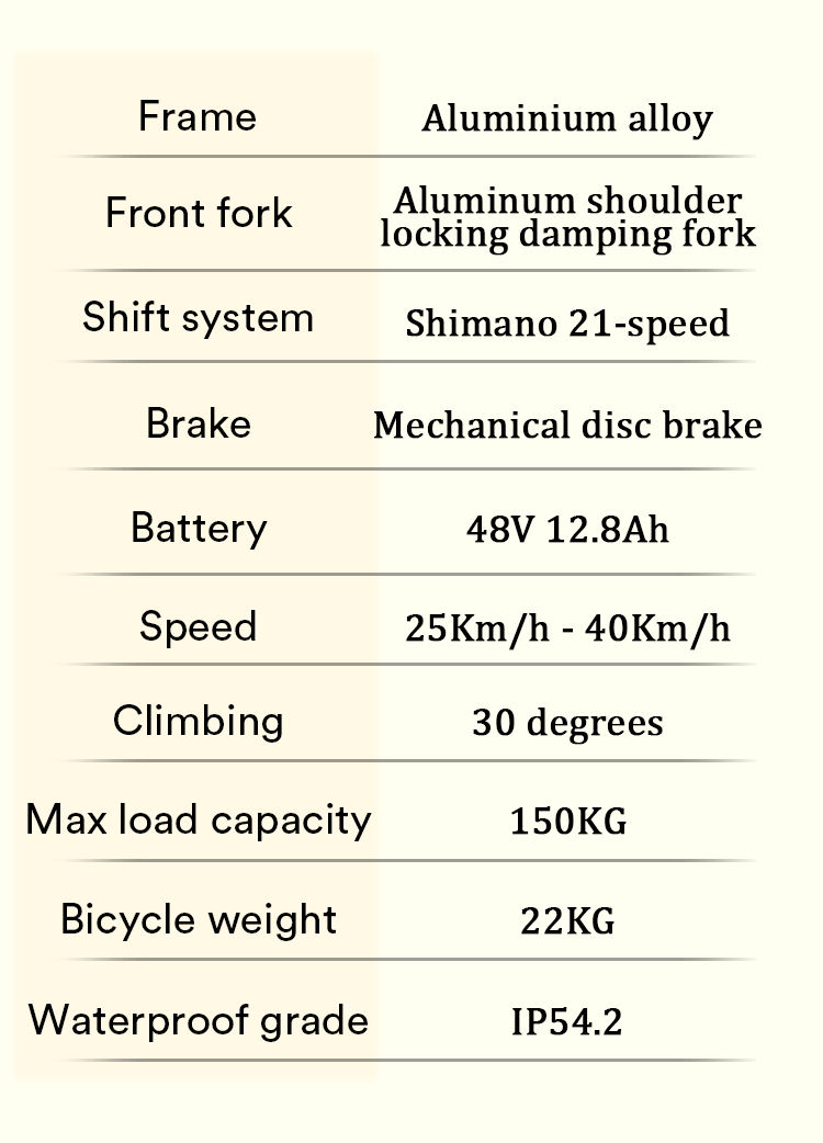 Electric Bicycle 21 speed