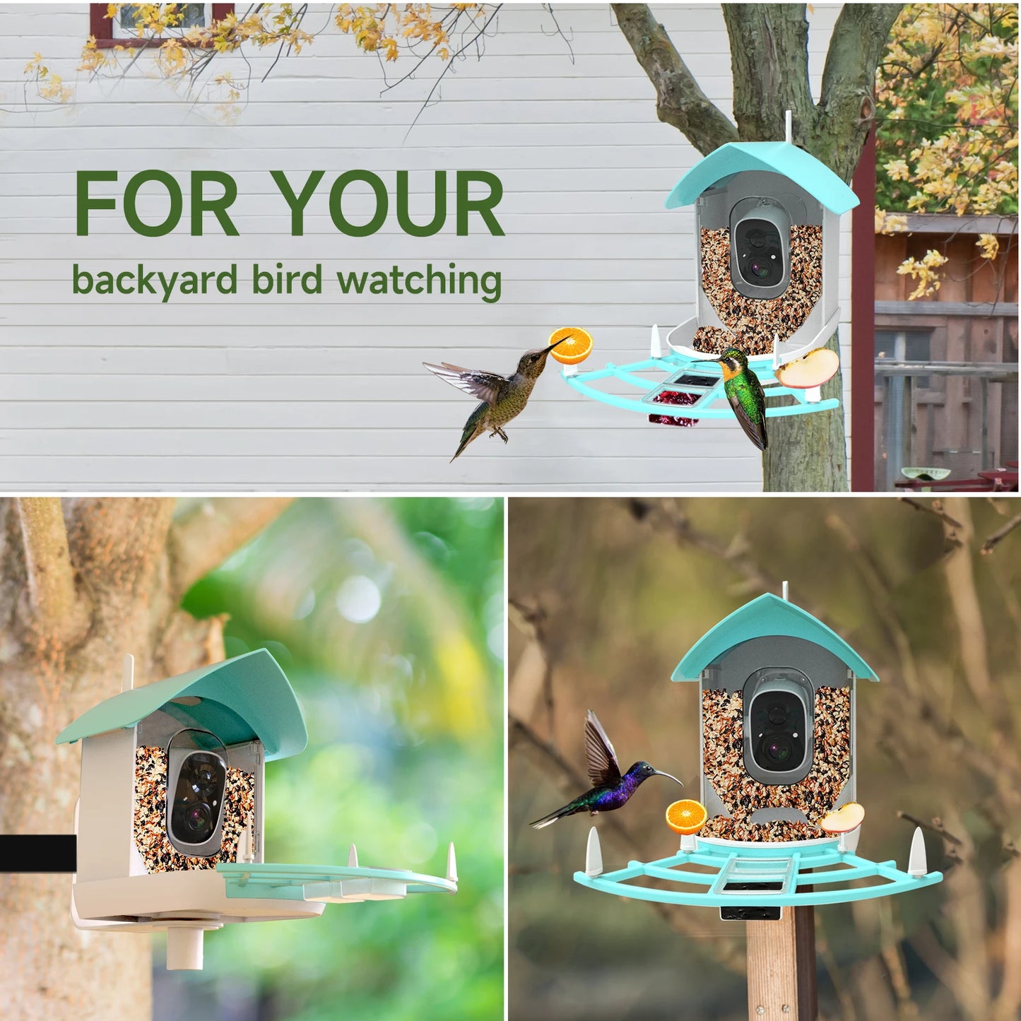 Smart Bird Feeder Camera