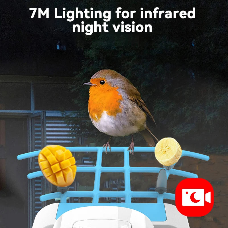 Smart Bird Feeder Camera